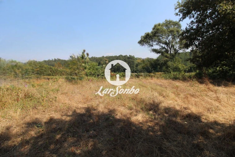 Terreno para Venda em Galegos (São Martinho) Foto 6