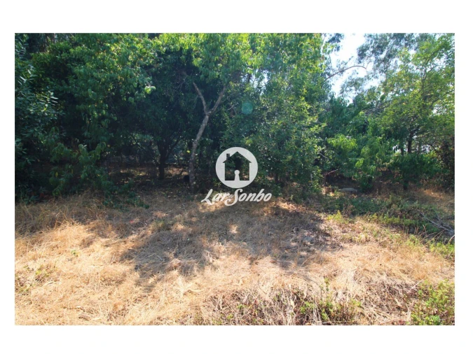 Terreno para Venda em Galegos (São Martinho) Foto 9