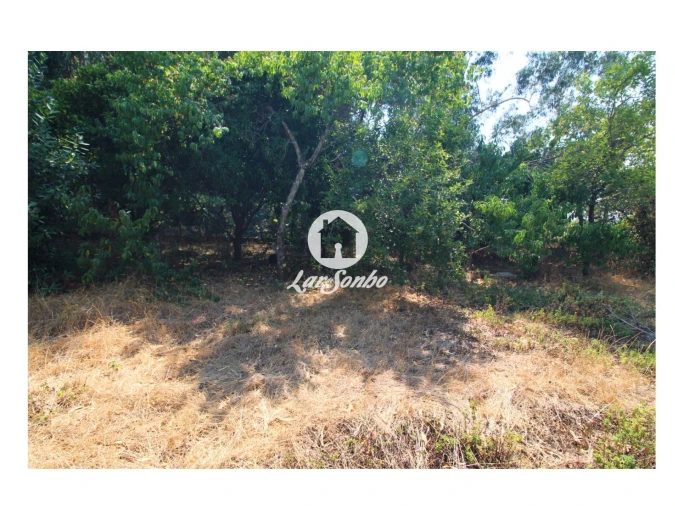 Terreno para Venda em Galegos (São Martinho) Foto 10