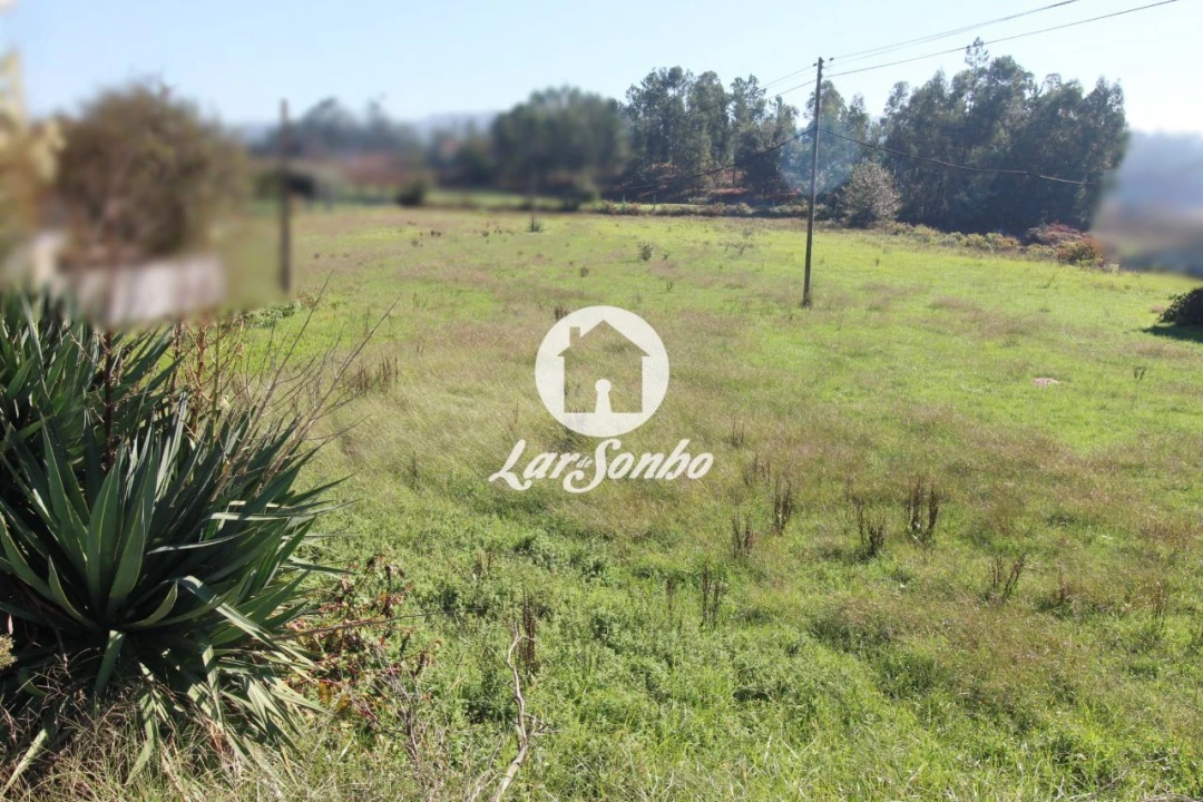 Terreno para Venda em Alvito (São Pedro e São Martinho) e Couto Foto 9