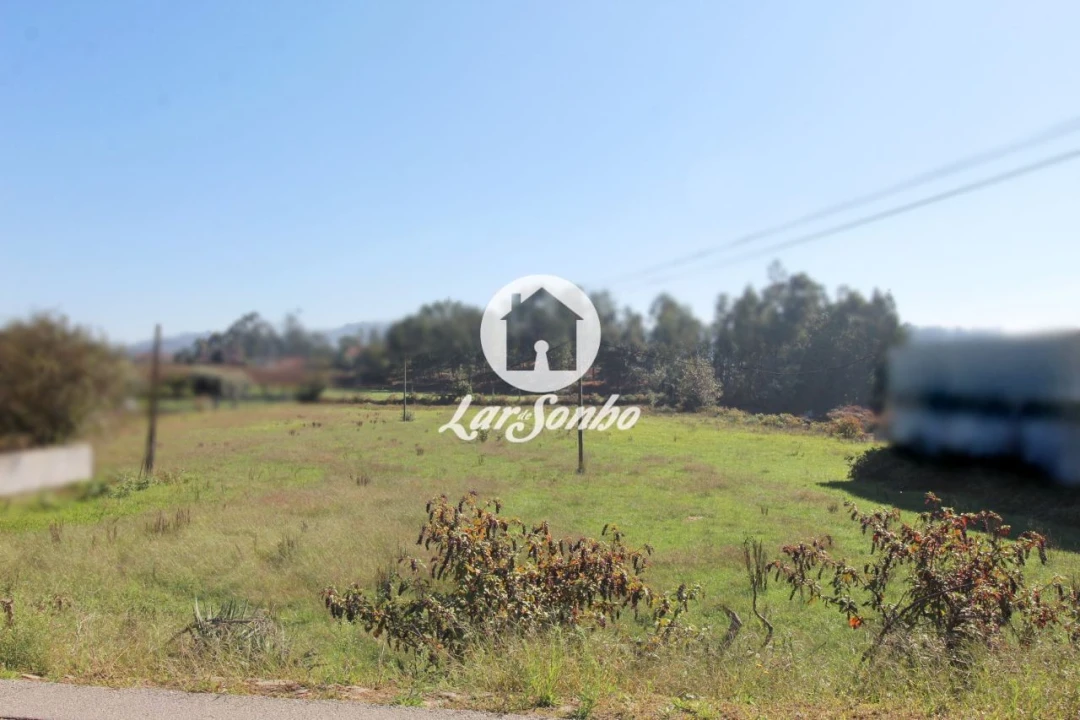 Terreno para Venda em Alvito (São Pedro e São Martinho) e Couto Foto 19