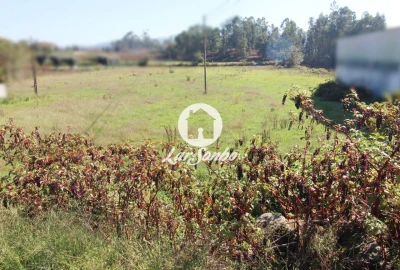 Terreno para Venda em Alvito (São Pedro e São Martinho) e Couto