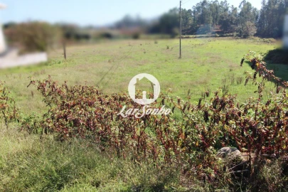 Terreno para Venda em Alvito (São Pedro e São Martinho) e Couto