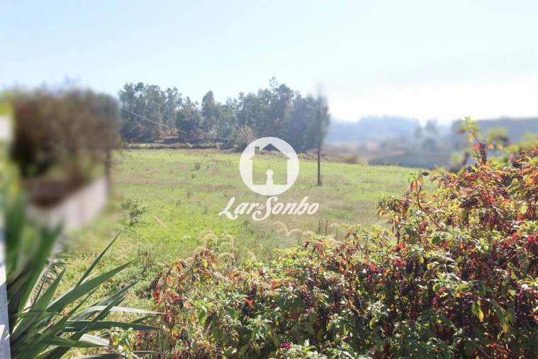 Terreno para Venda em Alvito (São Pedro e São Martinho) e Couto Foto 3