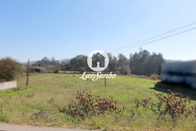 Terreno para Venda em Alvito (São Pedro e São Martinho) e Couto Foto 10