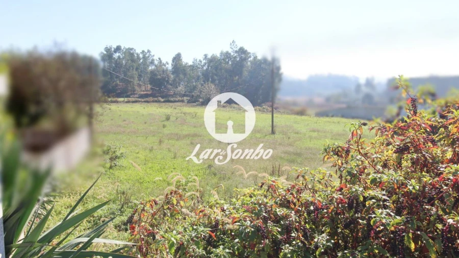 Terreno para Venda em Alvito (São Pedro e São Martinho) e Couto