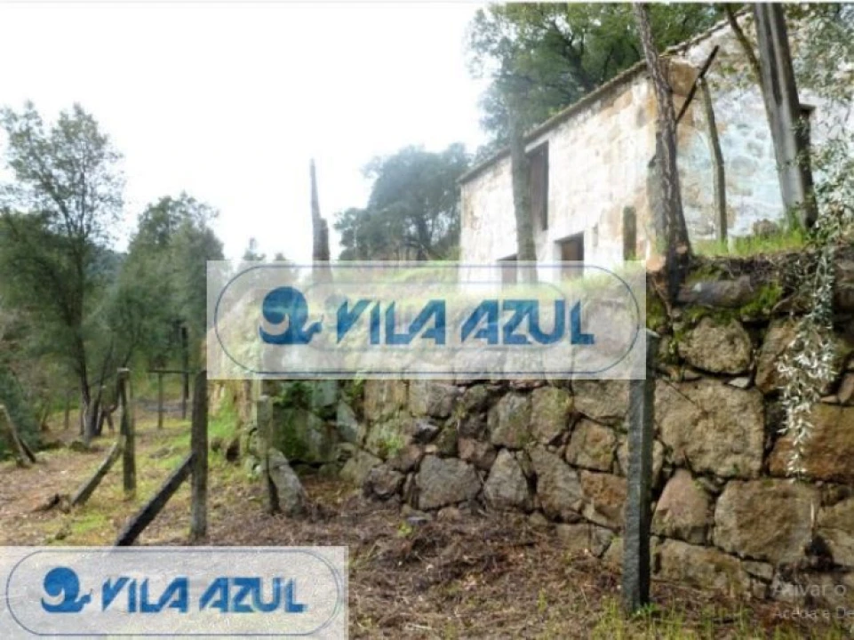 Negócio para Venda em Penhalonga e Paços de Gaiolo Foto 3