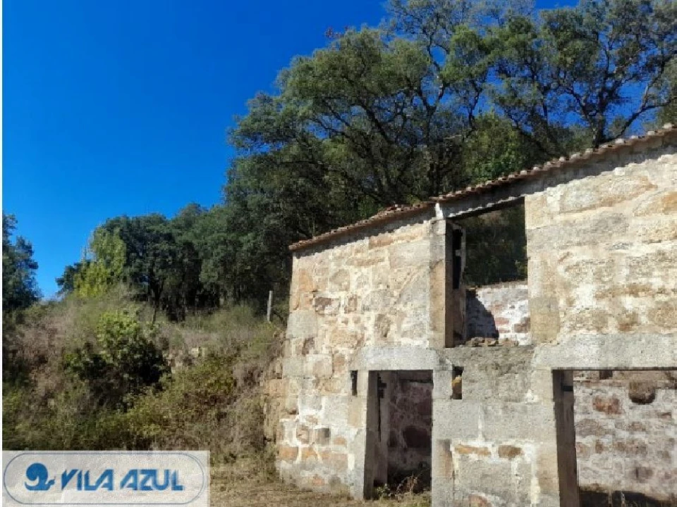 Negócio para Venda em Penhalonga e Paços de Gaiolo Foto 10