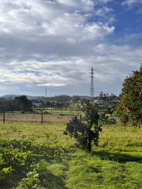Terreno para Venda em Arcozelo