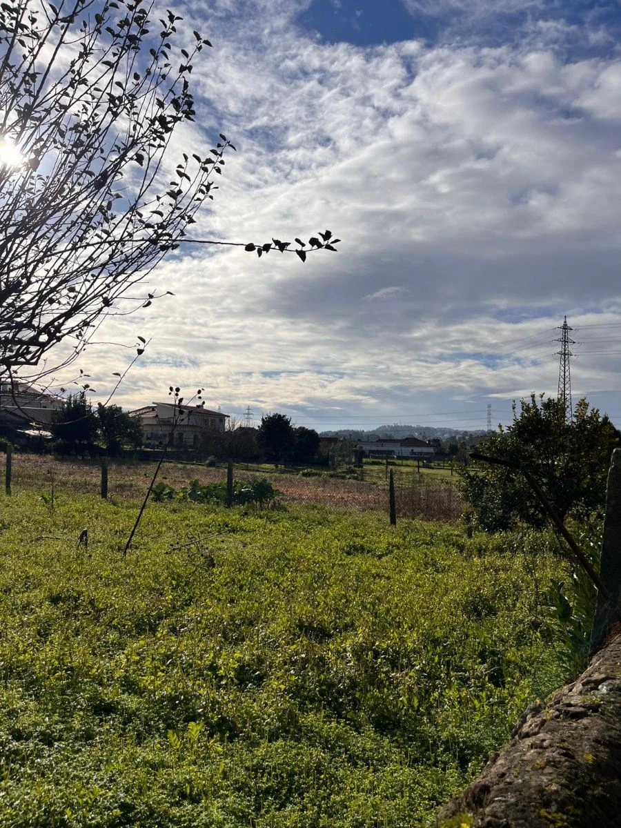 Terreno para Venda em Arcozelo Foto 4