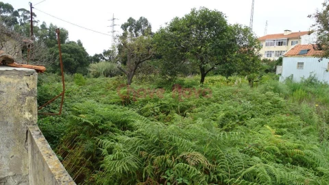 Terreno para Venda em Arcozelo
