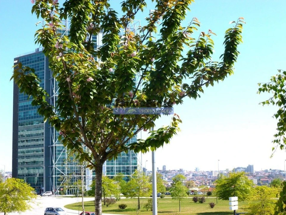 Escritório para Arrendamento em Arcozelo Foto 2