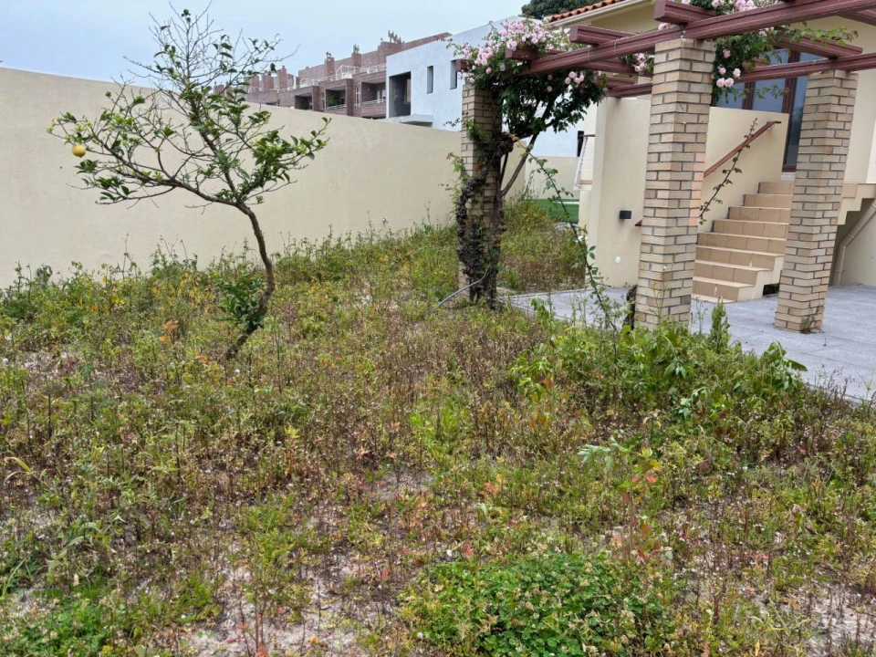 Moradia T4 para Arrendamento em Arcozelo Foto 7