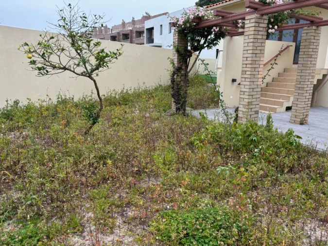 Moradia T4 para Arrendamento em Arcozelo Foto 7