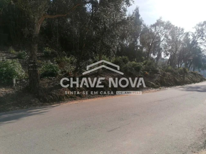 Terreno para Venda em Arcozelo Foto 5