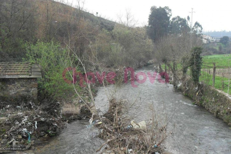 Terreno Agricola ou Rústico para Venda em Alfena Foto 4
