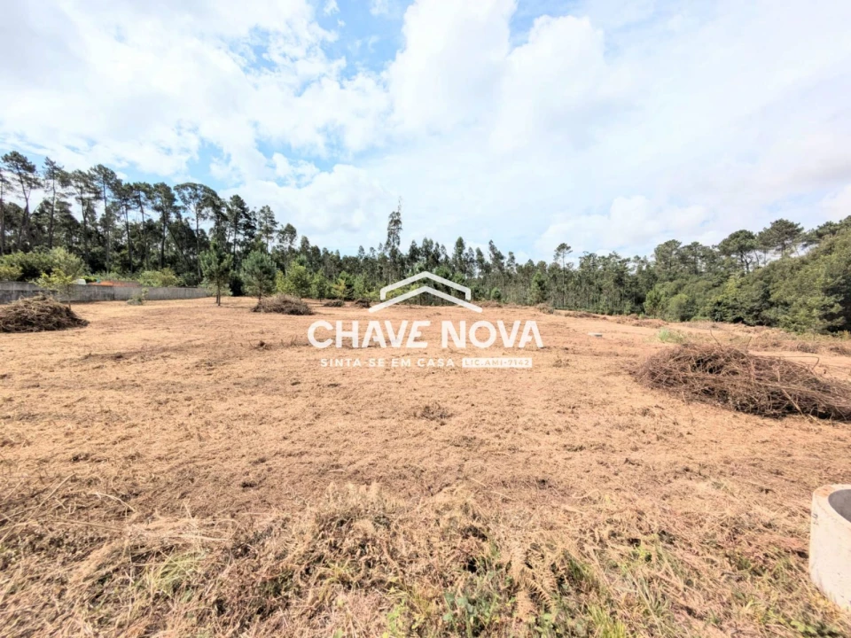 Terreno Misto para Venda em Argoncilhe Foto 1