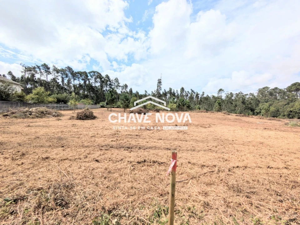 Terreno Misto para Venda em Argoncilhe Foto 4