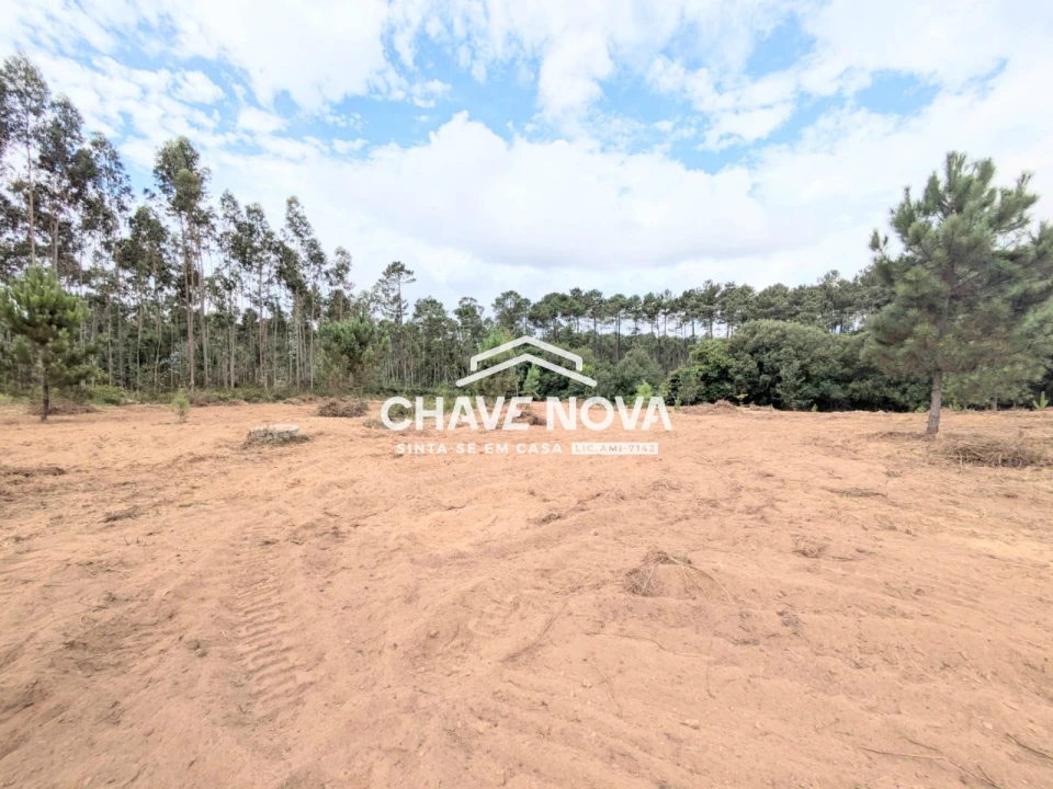 Terreno Misto para Venda em Argoncilhe Foto 10