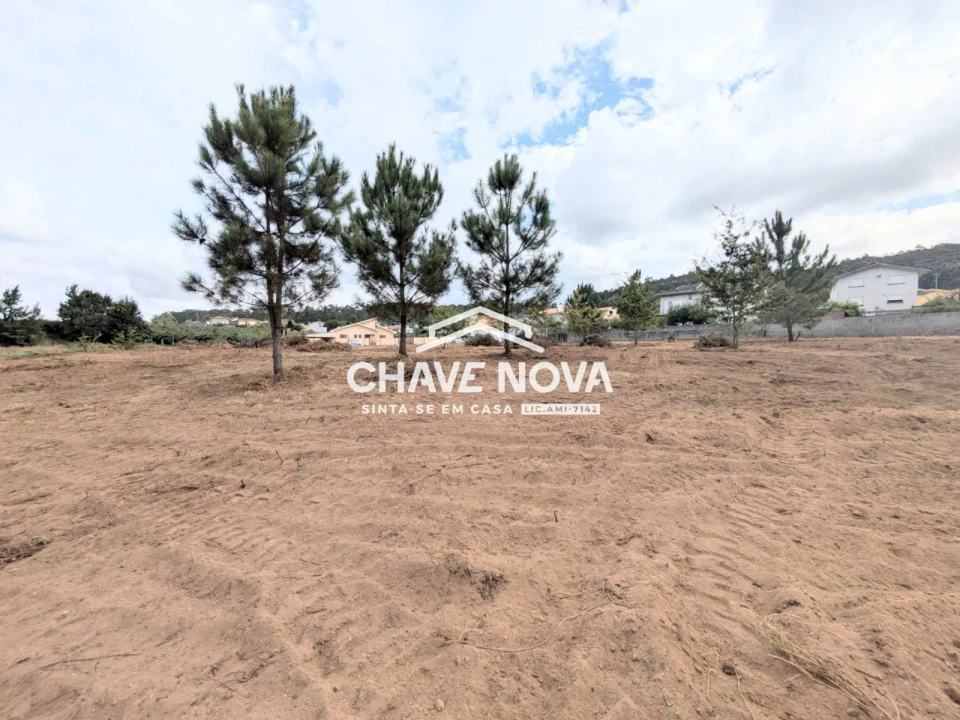 Terreno Misto para Venda em Argoncilhe Foto 13