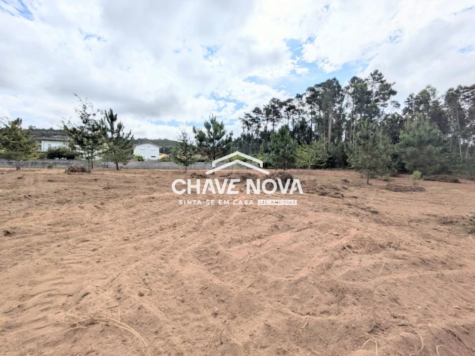 Terreno Misto para Venda em Argoncilhe Foto 15