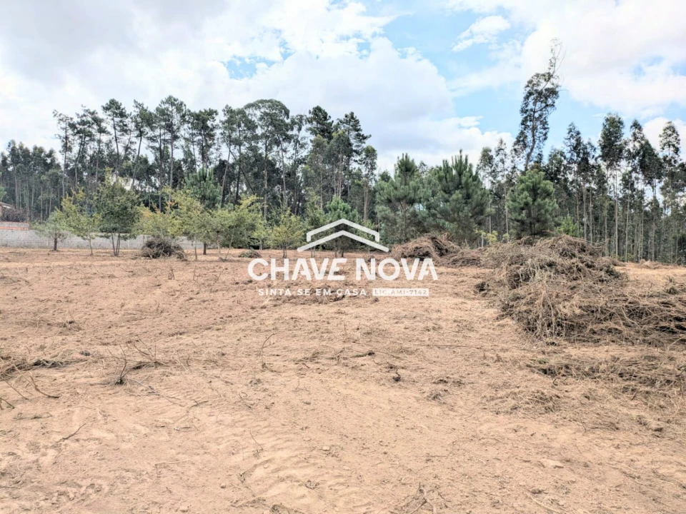 Terreno Misto para Venda em Argoncilhe Foto 19