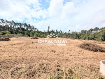 Terreno Misto para Venda em Argoncilhe