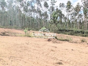 Terreno Misto para Venda em Argoncilhe