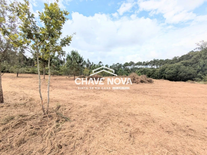 Terreno Misto para Venda em Argoncilhe Foto 5