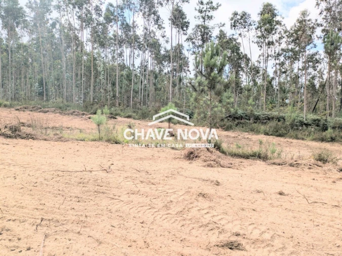 Terreno Misto para Venda em Argoncilhe Foto 17