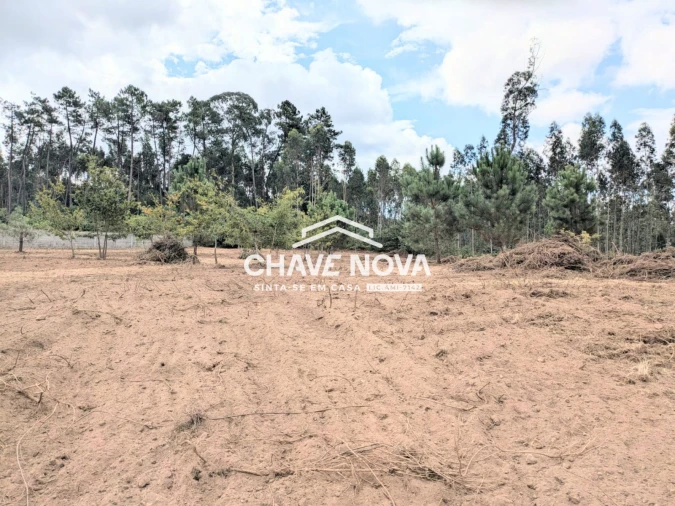 Terreno Misto para Venda em Argoncilhe Foto 18