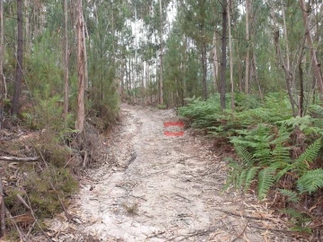 Terreno Misto para Venda em Alburitel