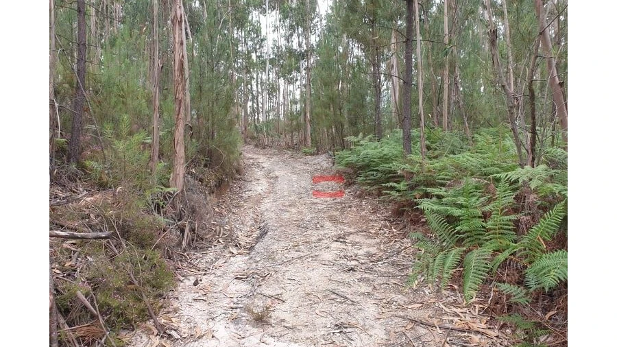 Terreno Misto para Venda em Alburitel