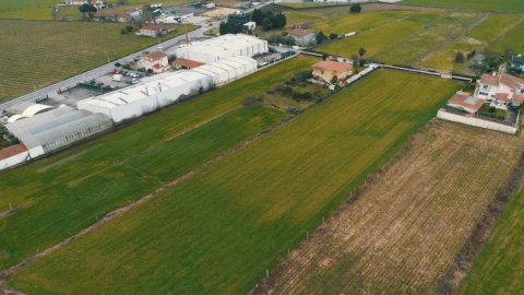 Terreno Misto para Venda em Abade de Neiva