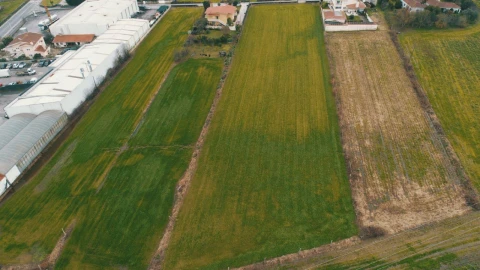 Terreno Misto para Venda em Abade de Neiva