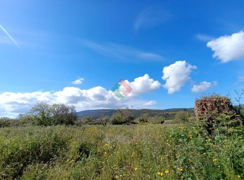 Terreno Agricola ou Rústico para Venda em São Salvador da Aramenha Foto 4