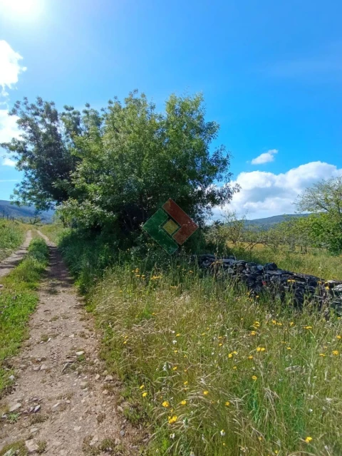 Terreno Agricola ou Rústico para Venda em São Salvador da Aramenha