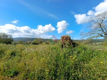 Terreno Agricola ou Rústico para Venda em São Salvador da Aramenha