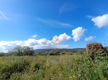 Terreno Agricola ou Rústico para Venda em São Salvador da Aramenha