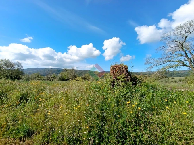 Terreno Agricola ou Rústico para Venda em São Salvador da Aramenha Foto 2