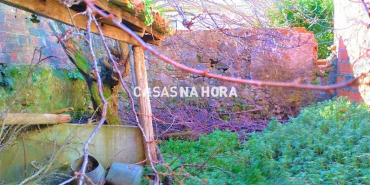 Terreno para Venda em Monchique