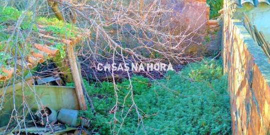 Terreno para Venda em Monchique