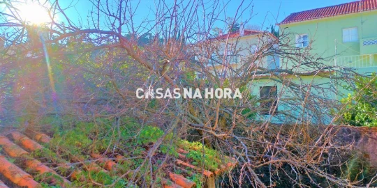 Terreno para Venda em Monchique