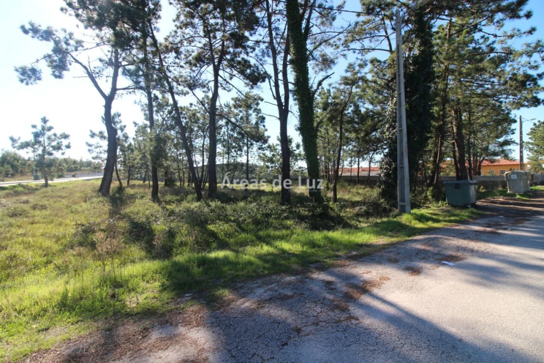 Terreno para Venda em Vieira de Leiria Foto 4