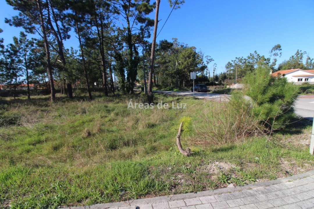 Terreno para Venda em Vieira de Leiria Foto 6