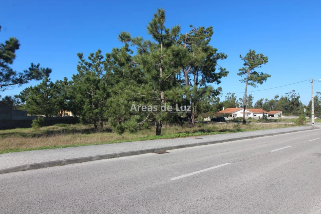 Terreno para Venda em Vieira de Leiria Foto 8