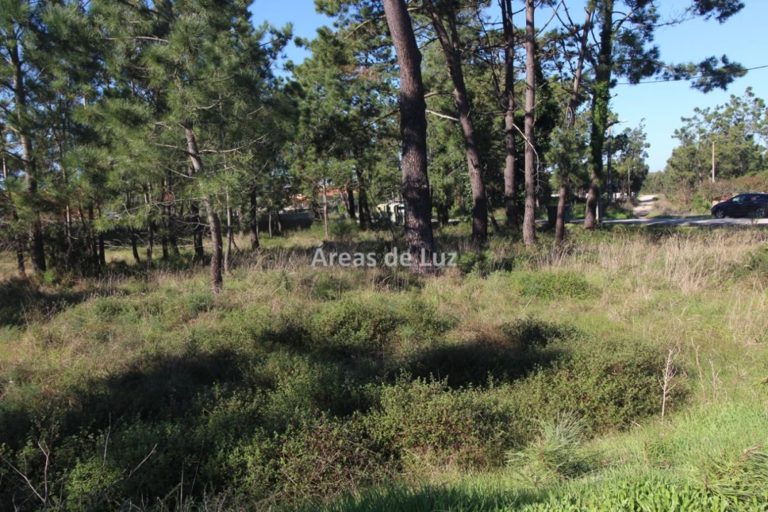 Terreno para Venda em Vieira de Leiria Foto 11