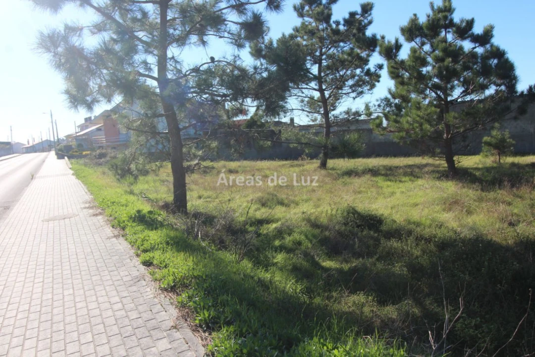 Terreno para Venda em Vieira de Leiria Foto 12