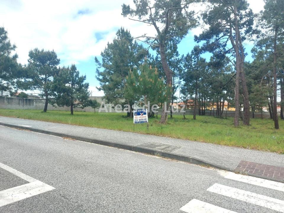 Terreno para Venda em Vieira de Leiria Foto 1