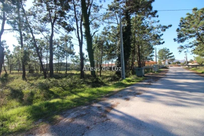 Terreno para Venda em Vieira de Leiria